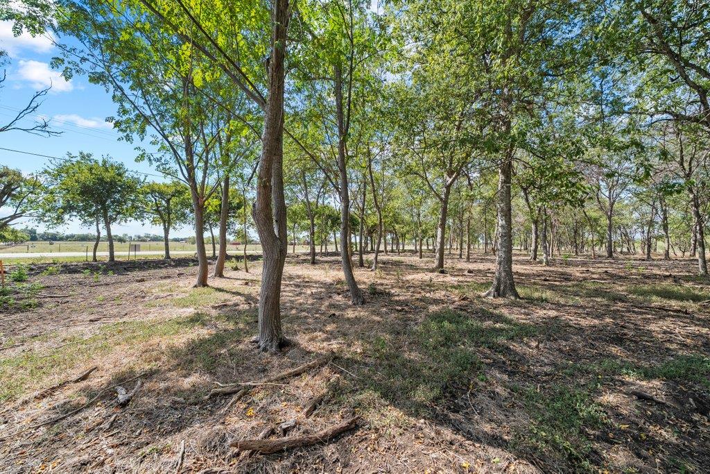 Lot 4 - TBD FM 1979 Rd, Martindale, TX 78655