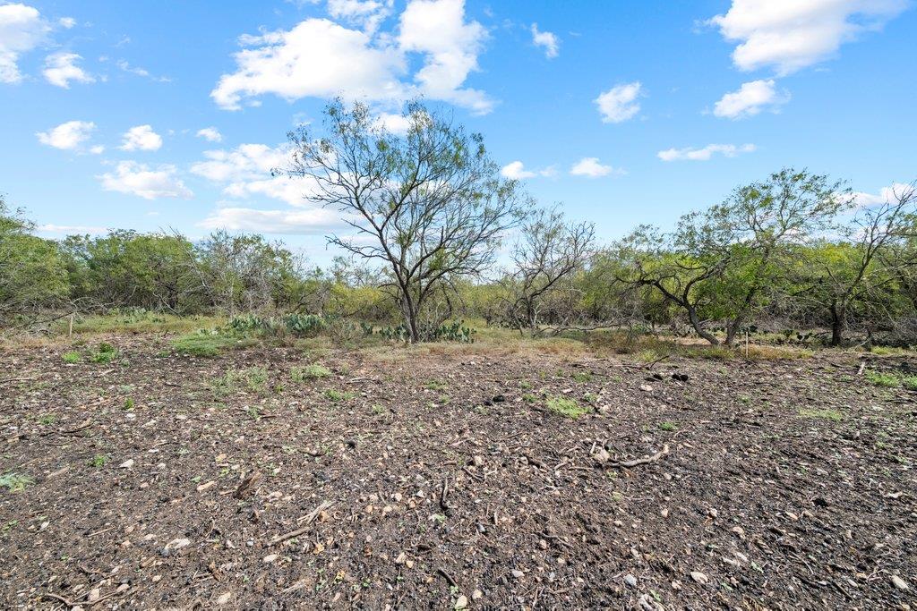 Lot 4 - TBD FM 1979 Rd, Martindale, TX 78655
