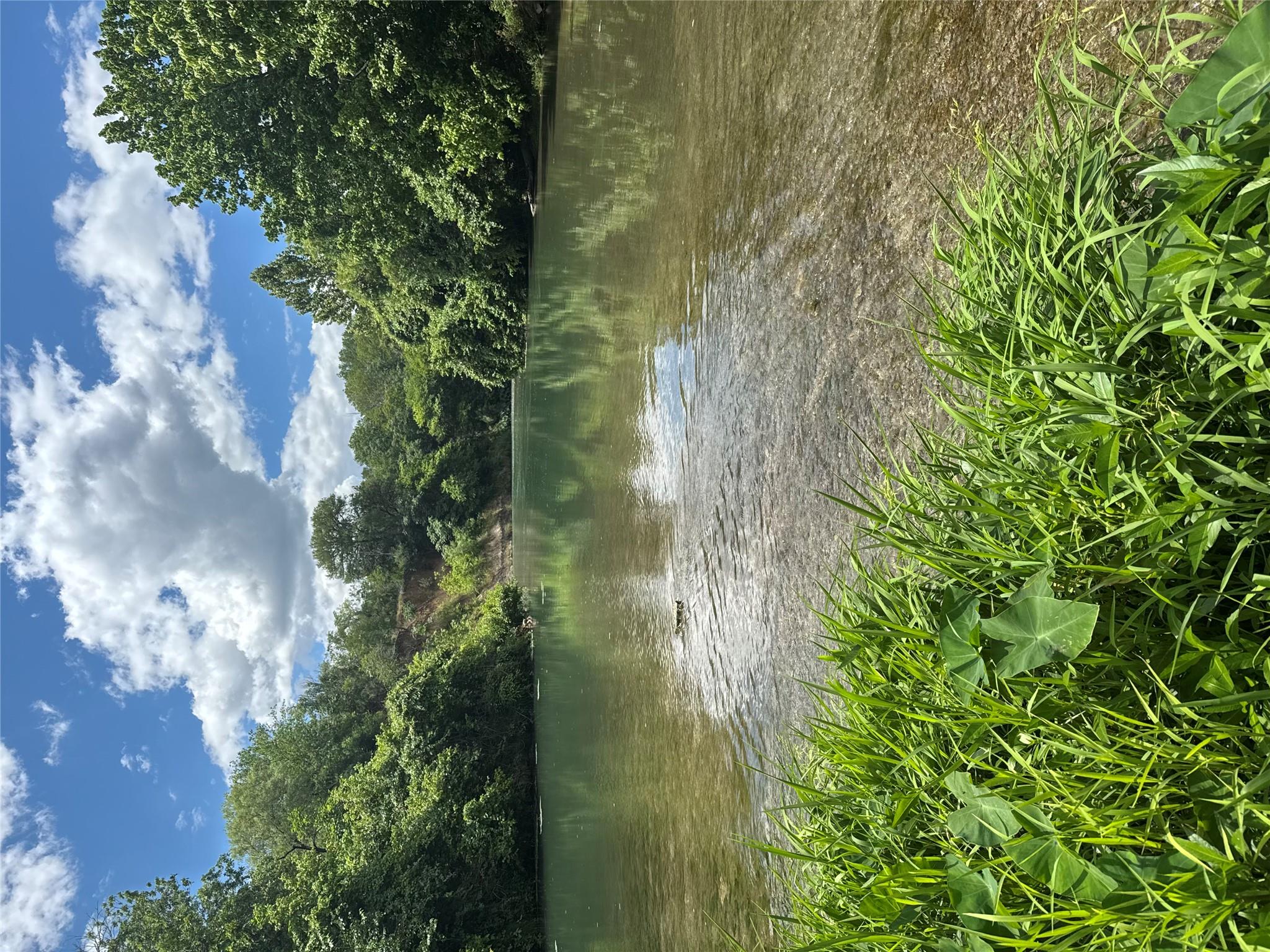 Lot 4 - TBD FM 1979 Rd, Martindale, TX 78655