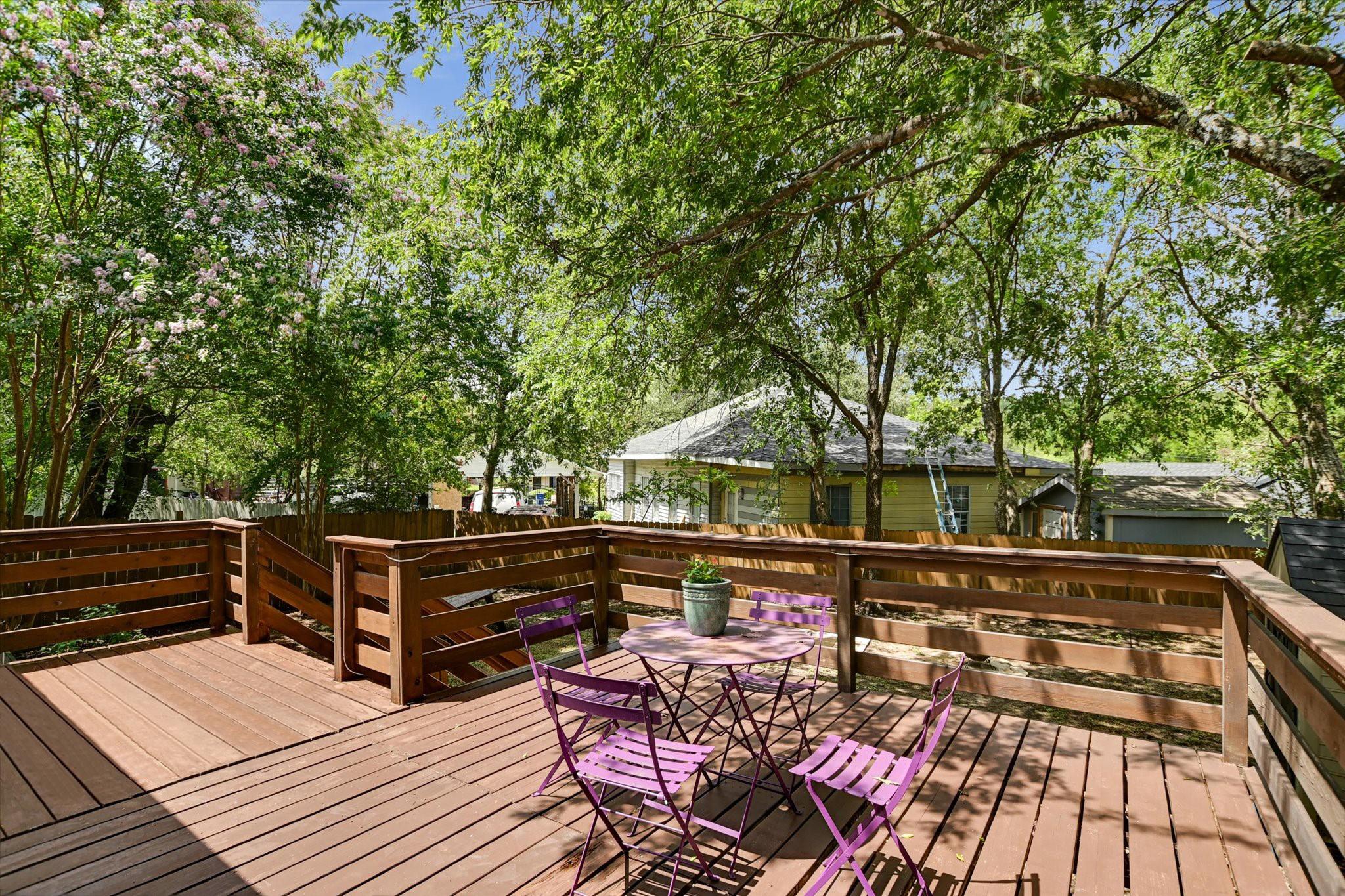 1206 Eleanor St, Austin, TX 78721