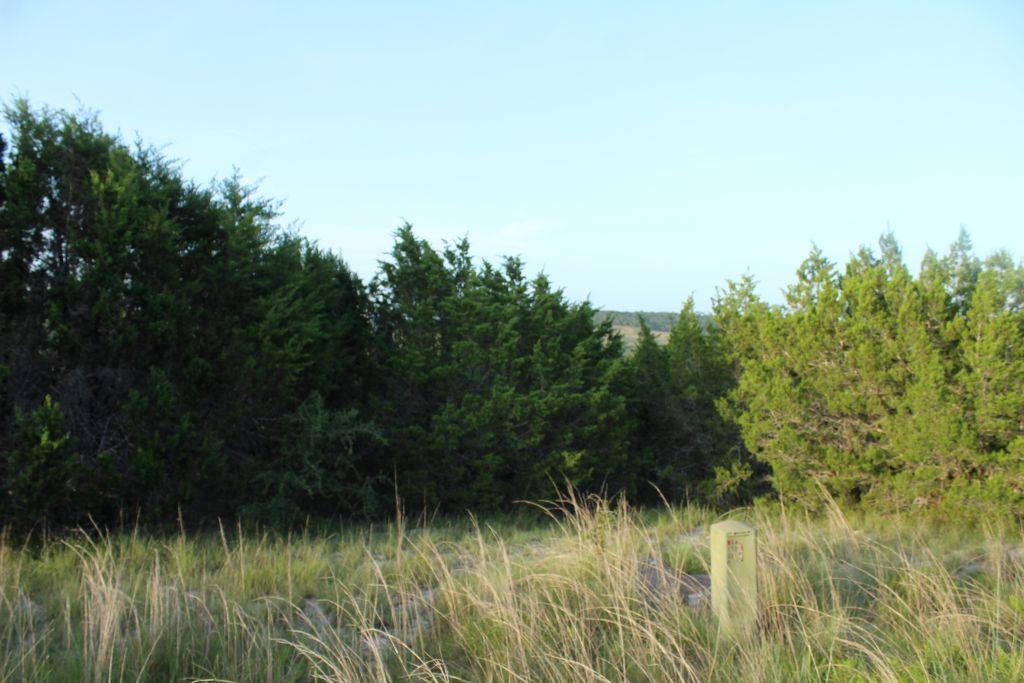 Lot-646 Wagon Wheel Trl, Bertram, TX 78605