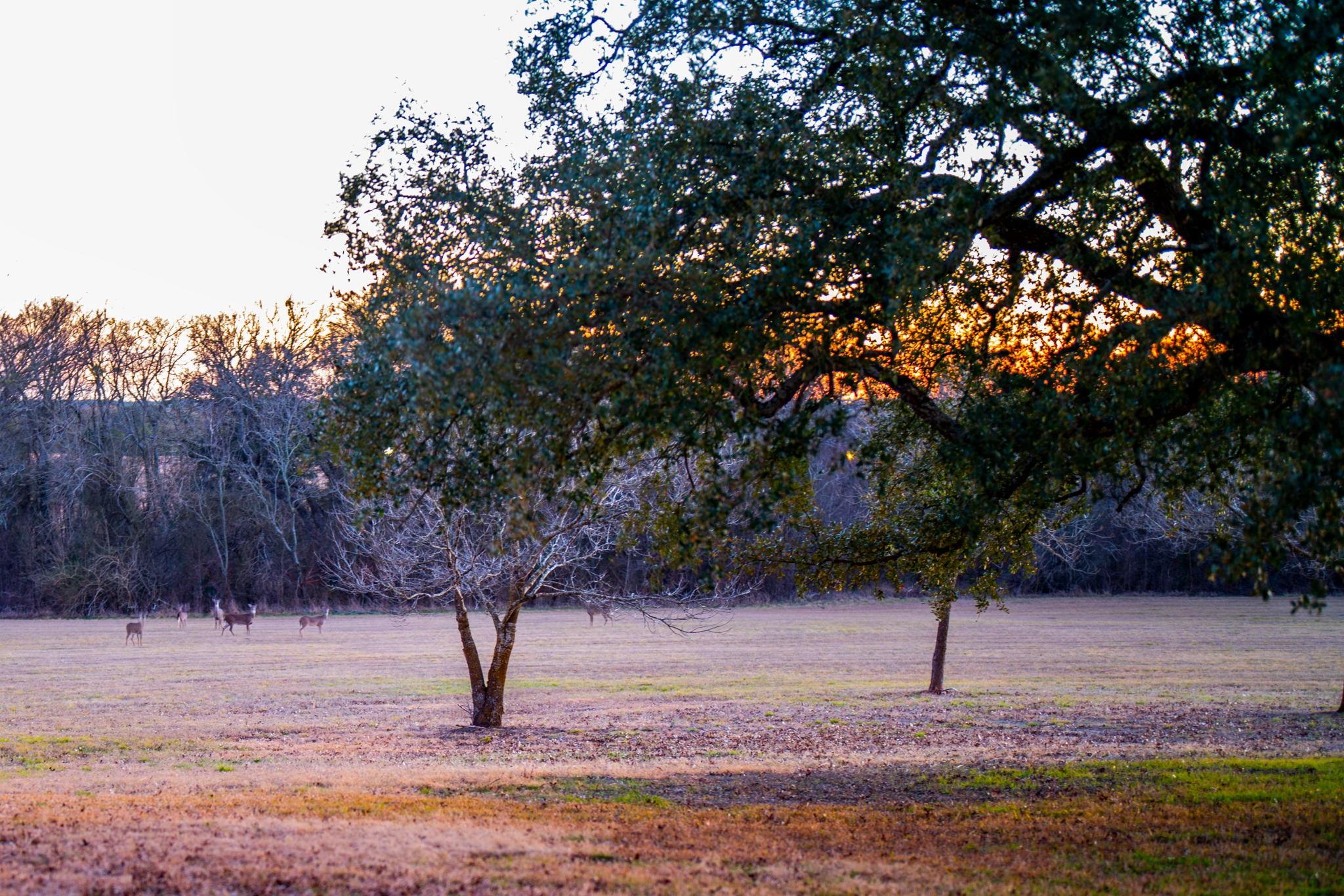 6731 E Fm 1123, Belton, TX 76513
