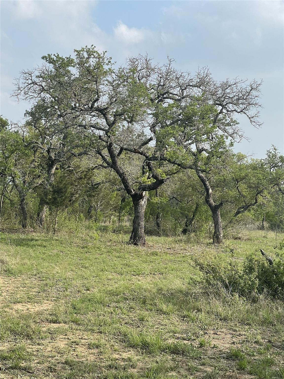 TBD Winnie Smith Rd, Round Mountain, TX 78663