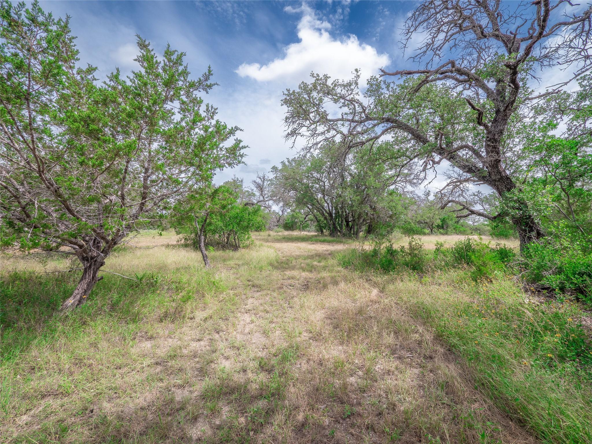 TBD Winnie Smith Rd, Round Mountain, TX 78663