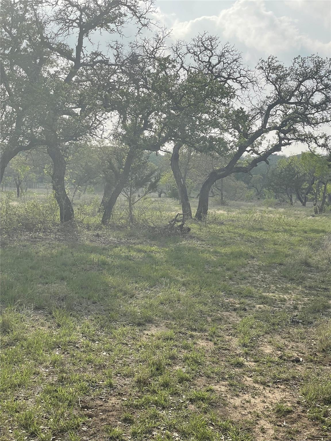 TBD Winnie Smith Rd, Round Mountain, TX 78663