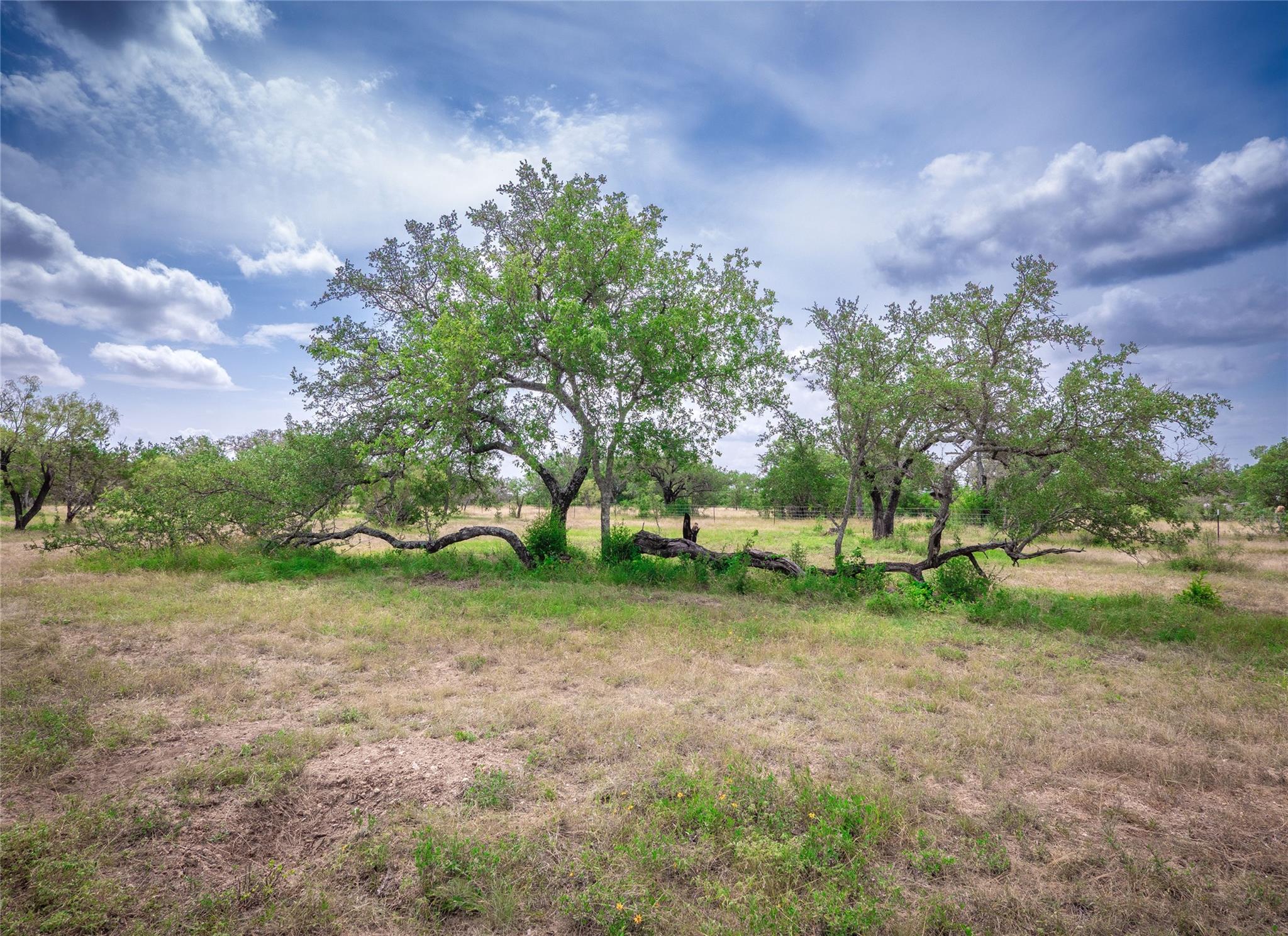 TBD Winnie Smith Rd, Round Mountain, TX 78663