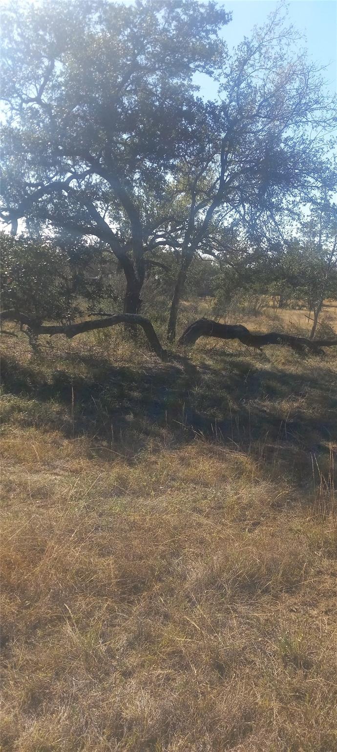 TBD Winnie Smith Rd, Round Mountain, TX 78663