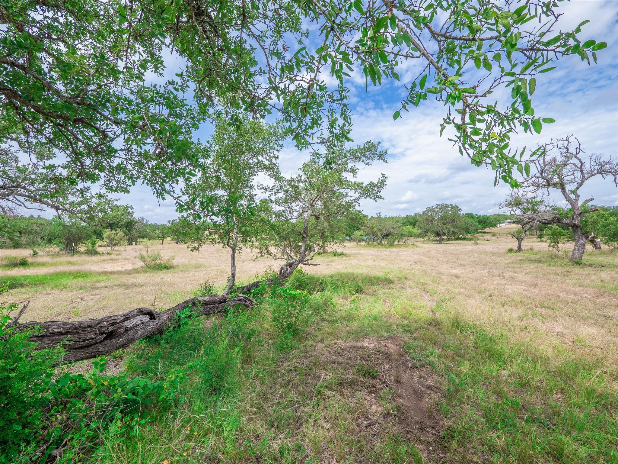 TBD Winnie Smith Rd, Round Mountain, TX 78663