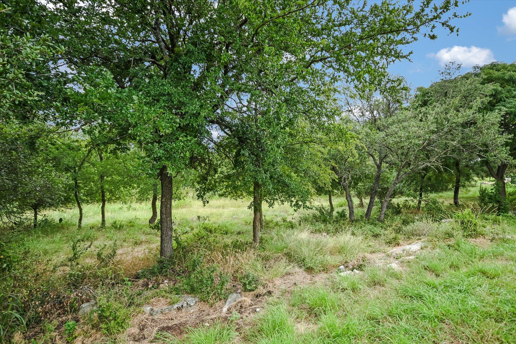 125 Fox Home Ln, Georgetown, TX 78633