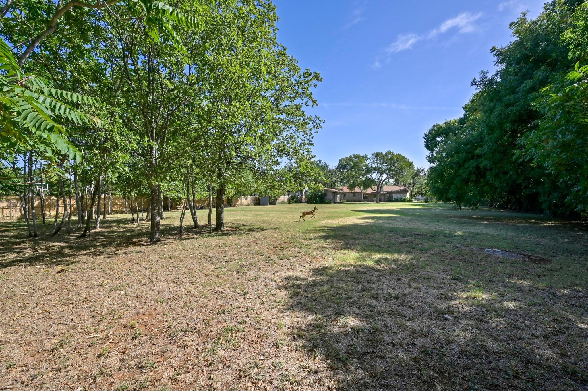 2202 Dawn Dr, Georgetown, TX 78628