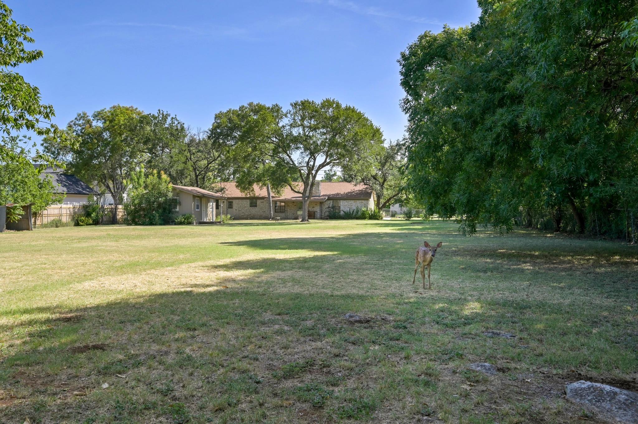 2202 Dawn Dr, Georgetown, TX 78628