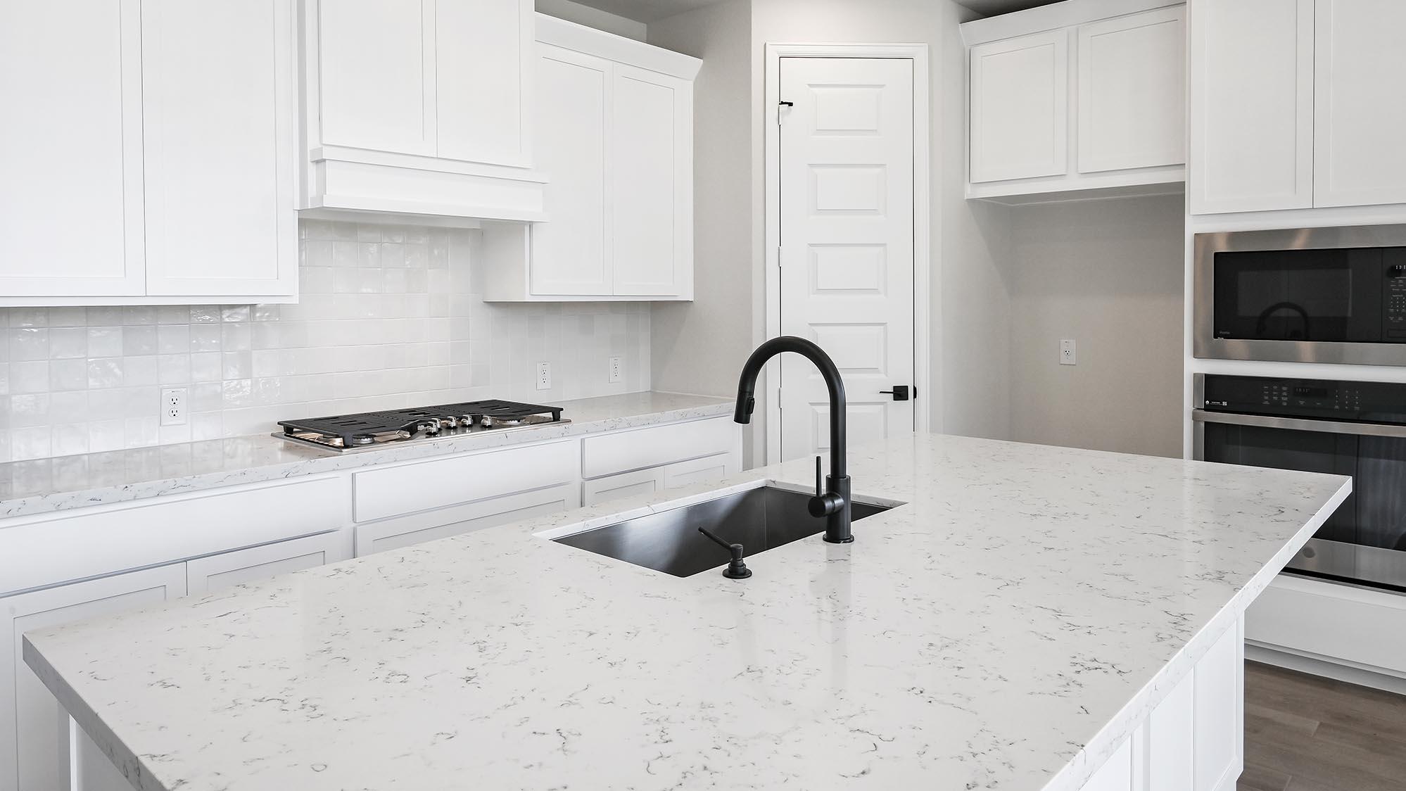 239 Prickly Poppy Loop, Kyle, TX 78640