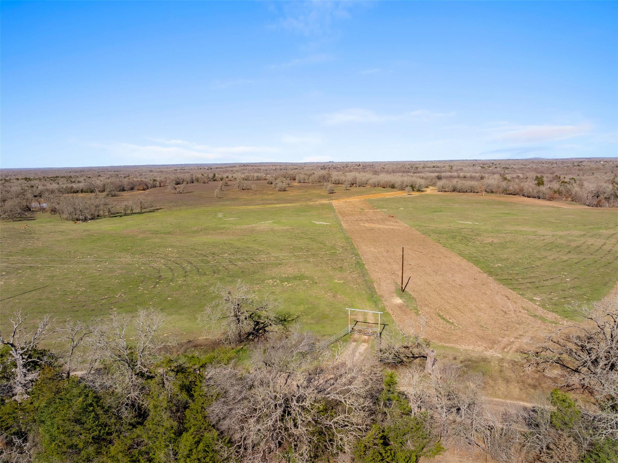 95 AC +/- County Road 234, Milano, TX 76556