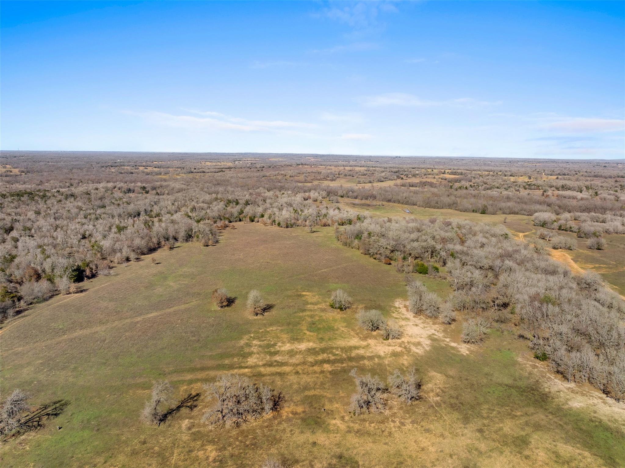 91 AC +/- County Road 234, Milano, TX 76556
