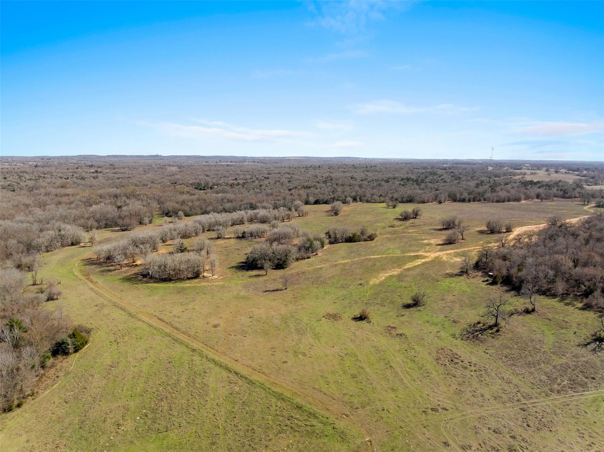 91 AC +/- County Road 234, Milano, TX 76556