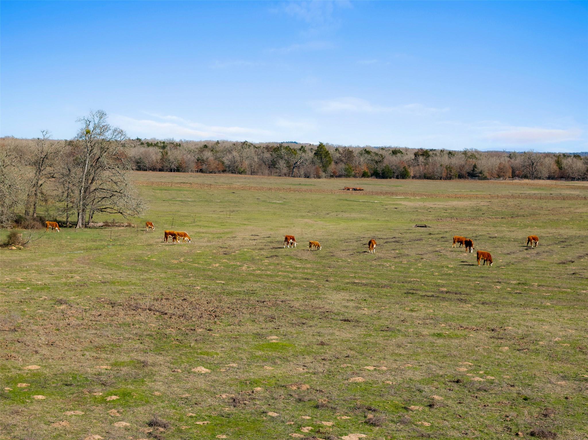 91 AC +/- County Road 234, Milano, TX 76556