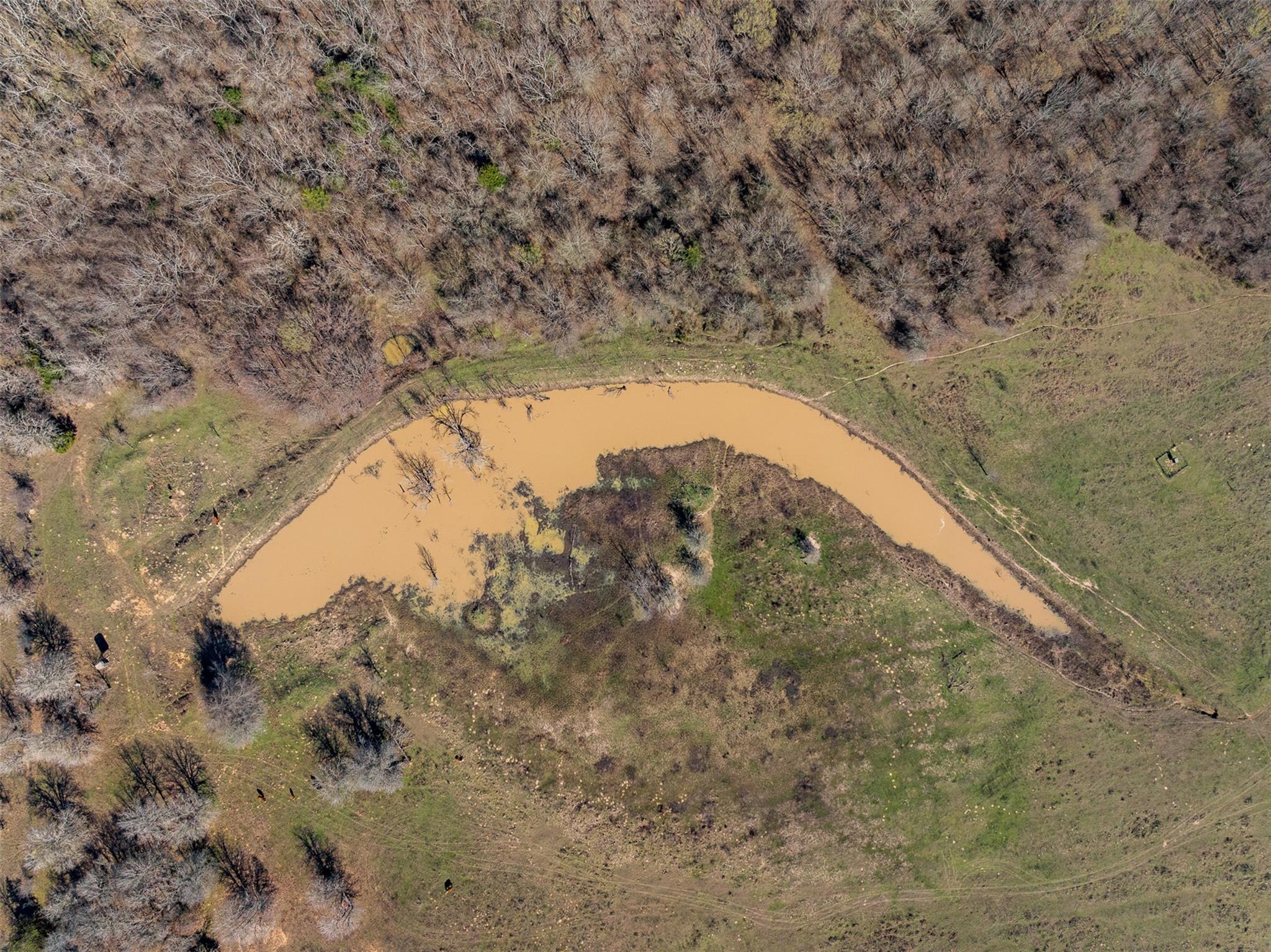 91 AC +/- County Road 234, Milano, TX 76556