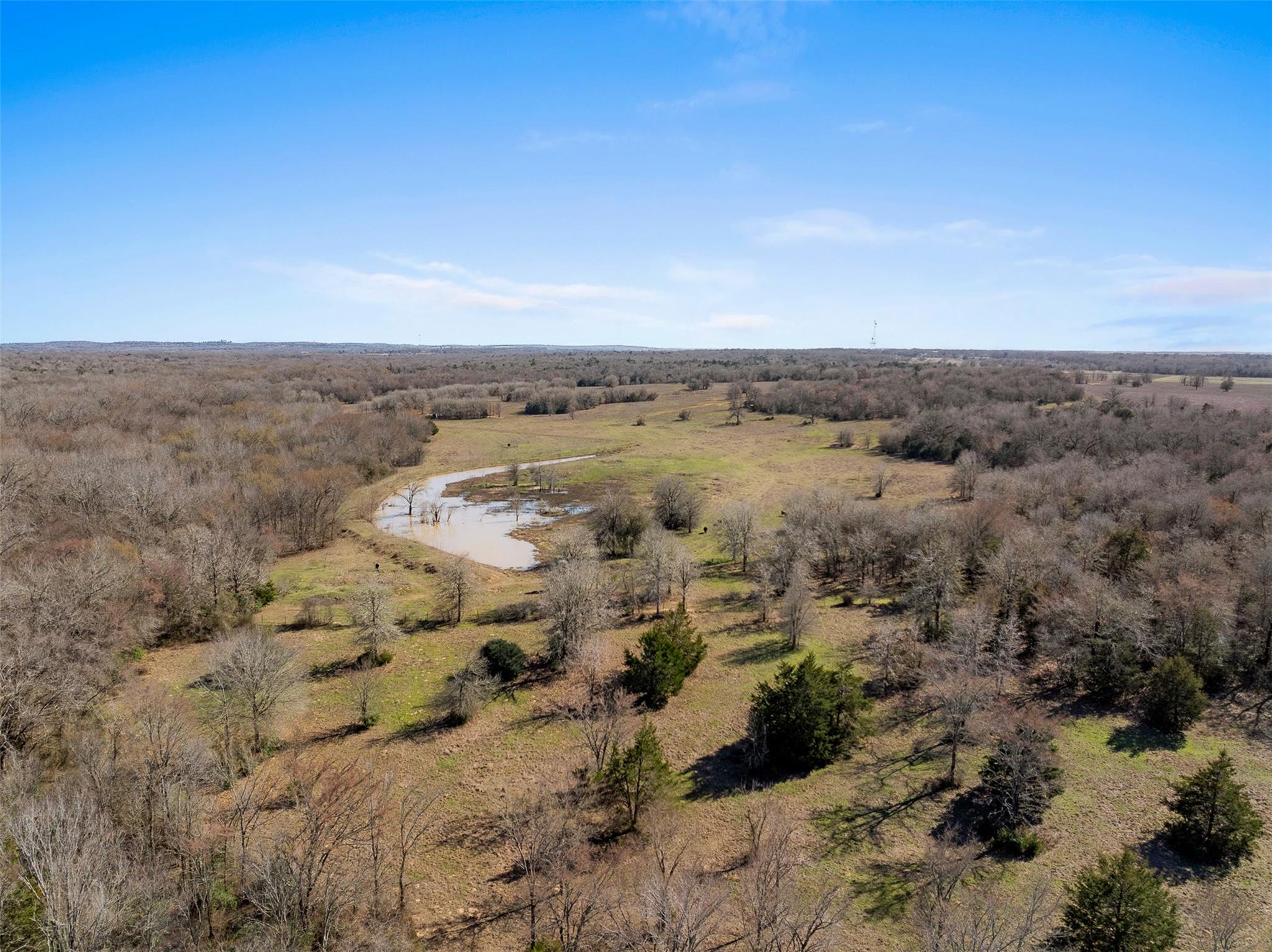 91 AC +/- County Road 234, Milano, TX 76556