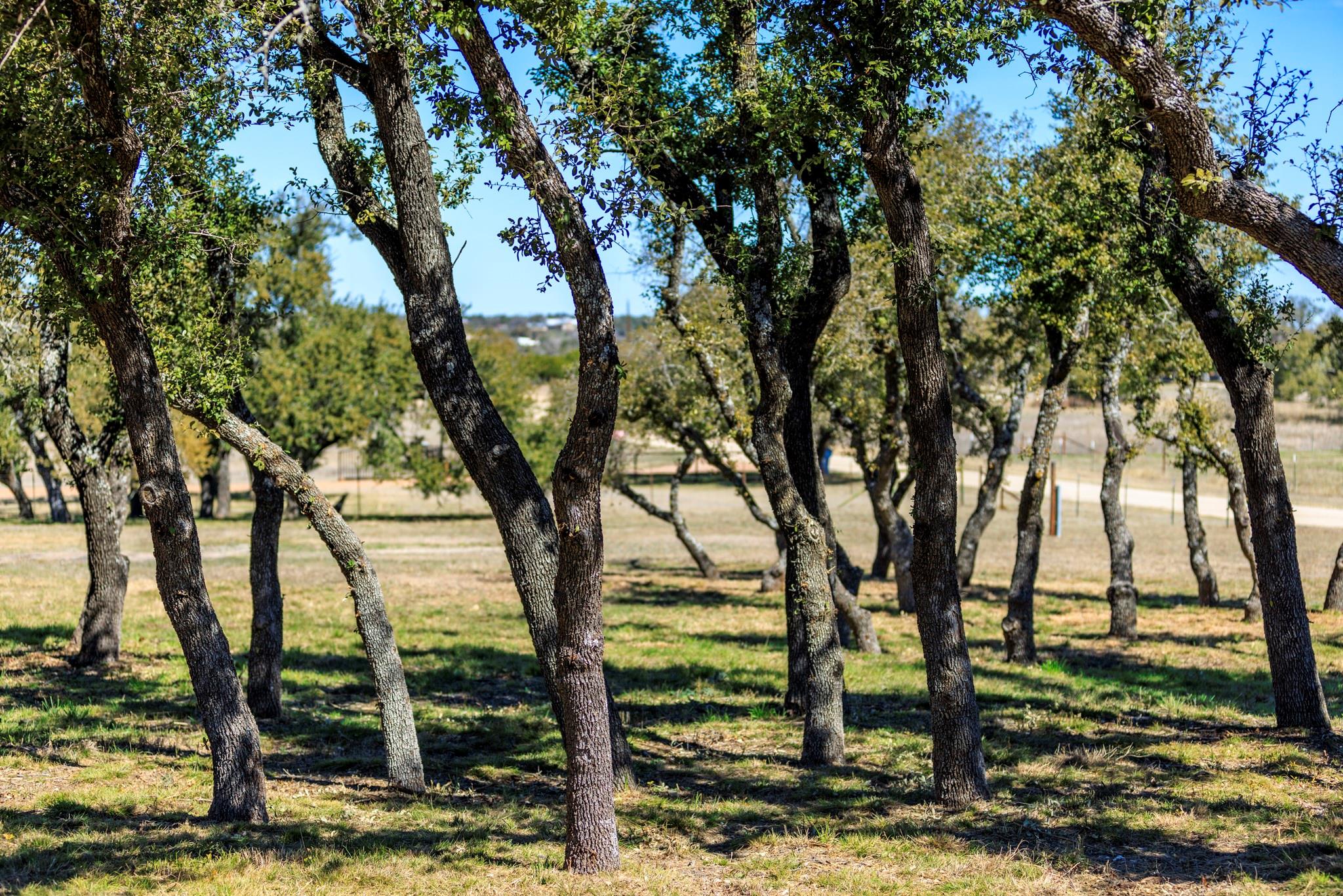 434 Gold Schaefer Rd, Fredericksburg, TX 78624