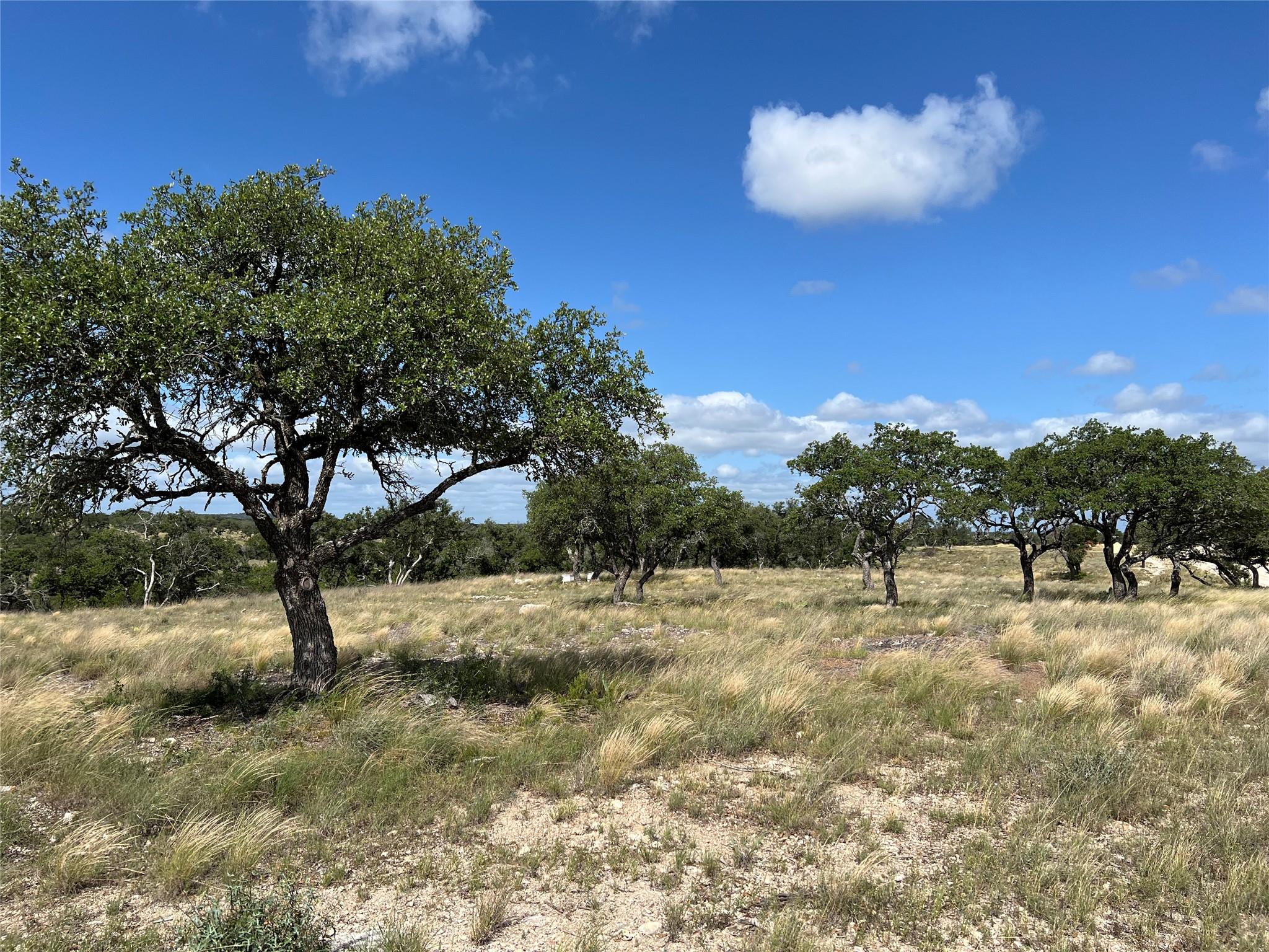 Lot 80 Seven Springs Rnch, Junction, TX 78649