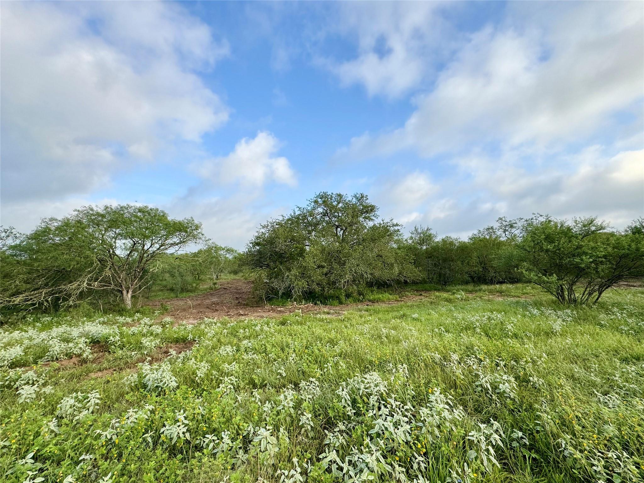 0000 CR 171, Nixon, TX 78140
