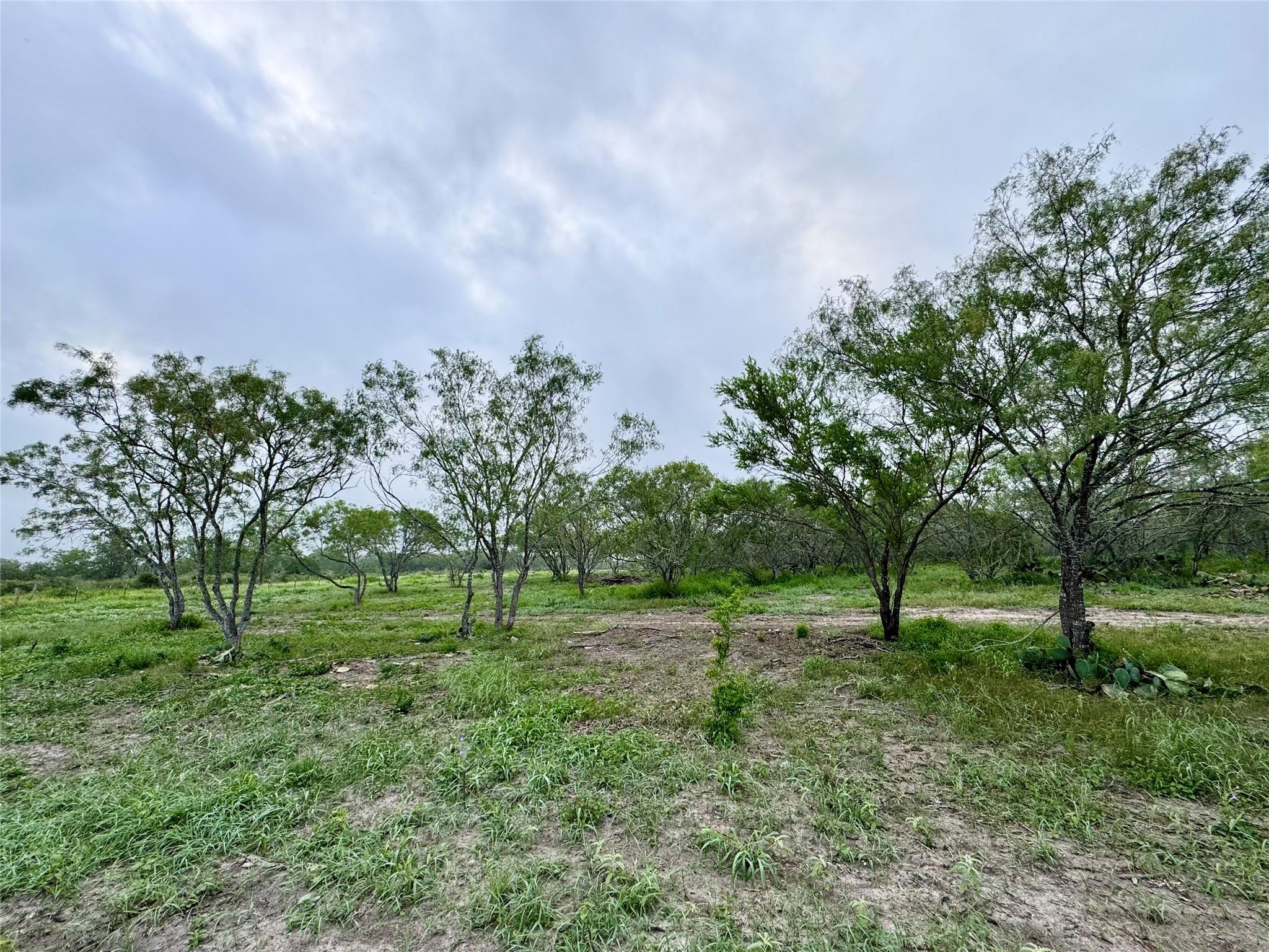 0000 CR 171, Nixon, TX 78140