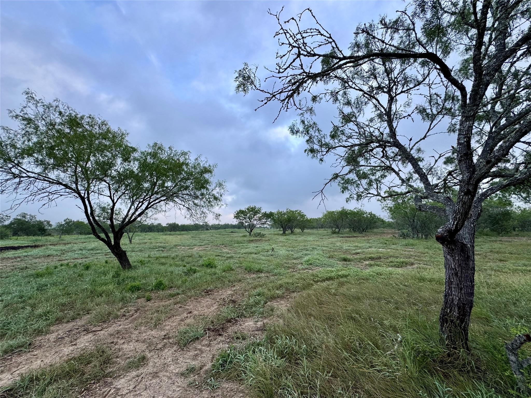 0000 CR 171, Nixon, TX 78140