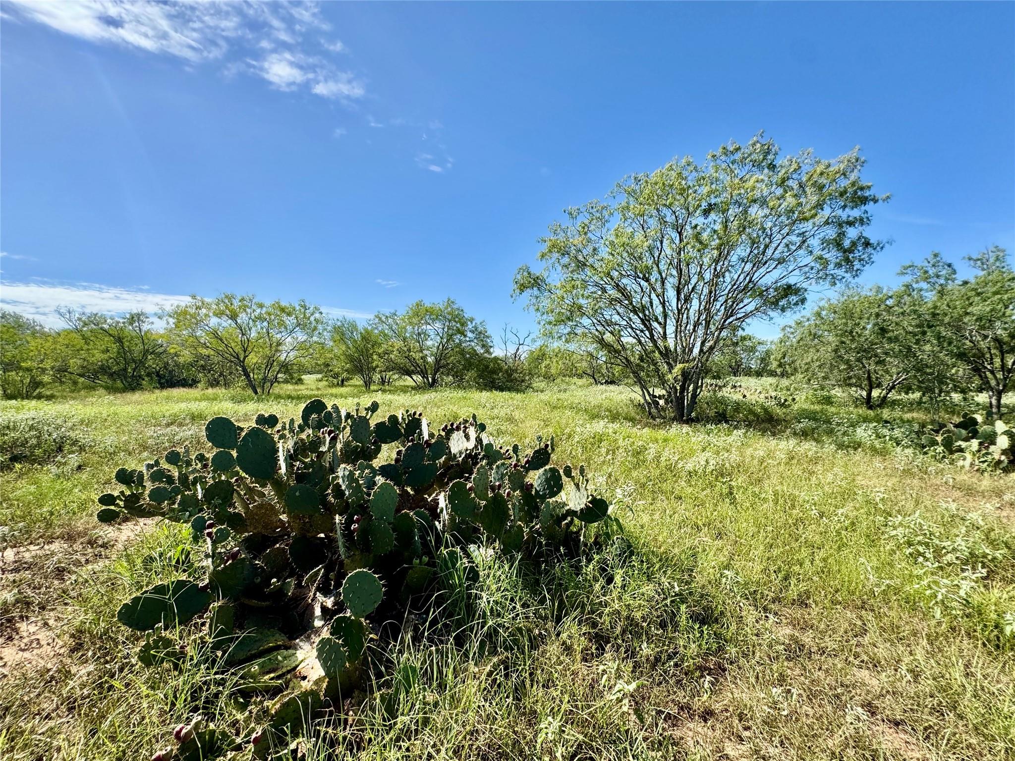 0000 CR 171, Nixon, TX 78140