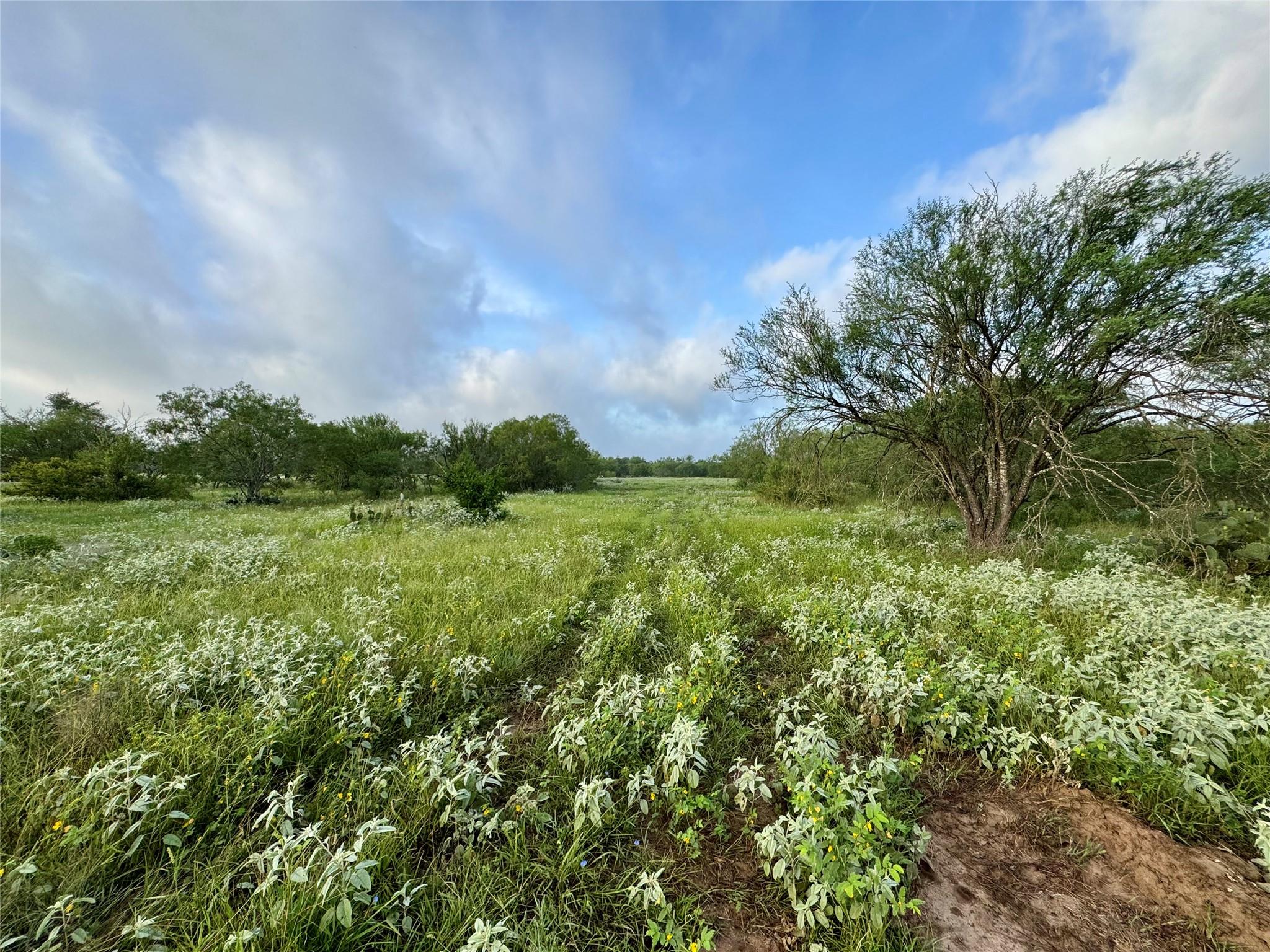 0000 CR 171, Nixon, TX 78140