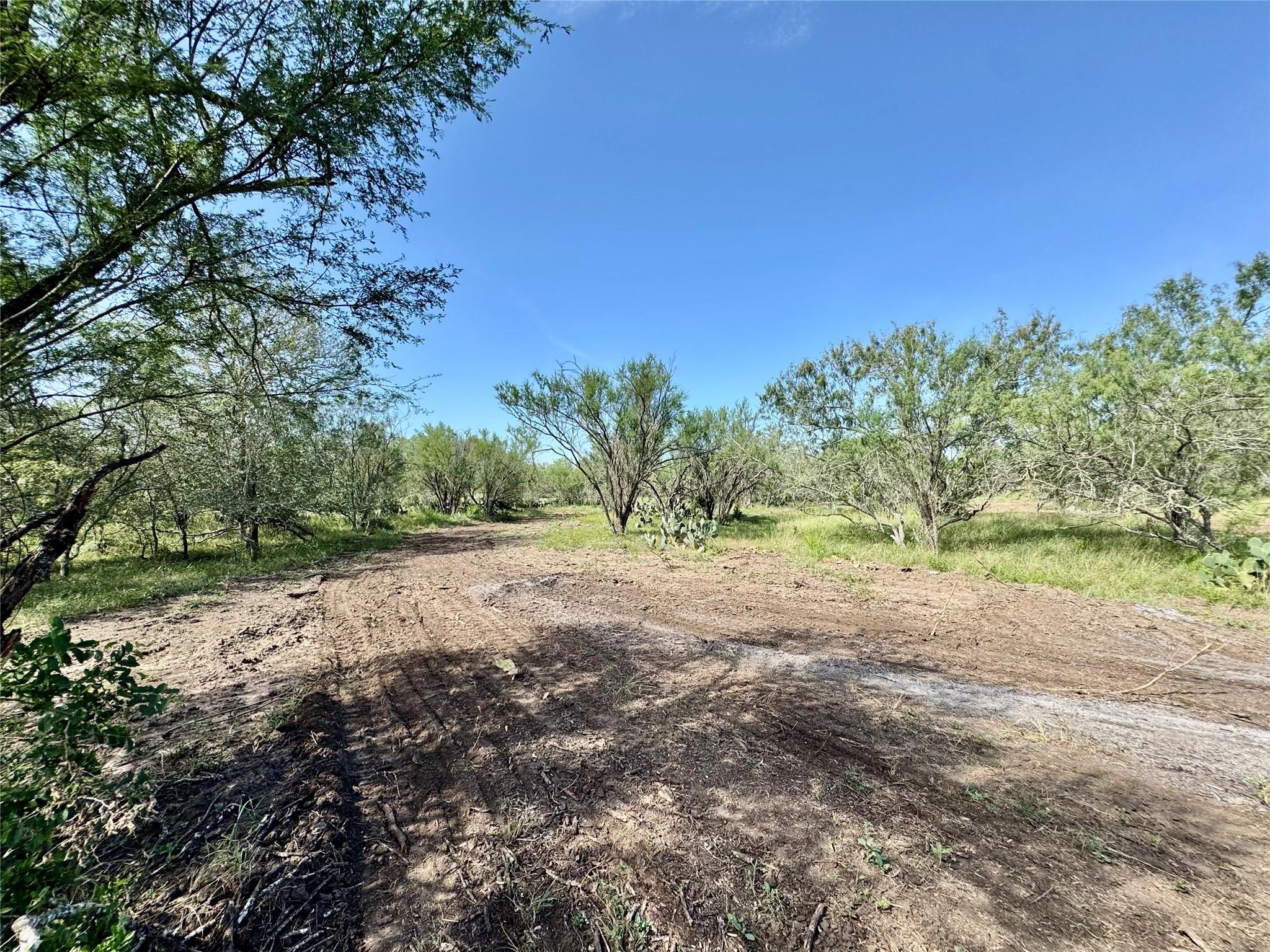 0000 CR 171, Nixon, TX 78140
