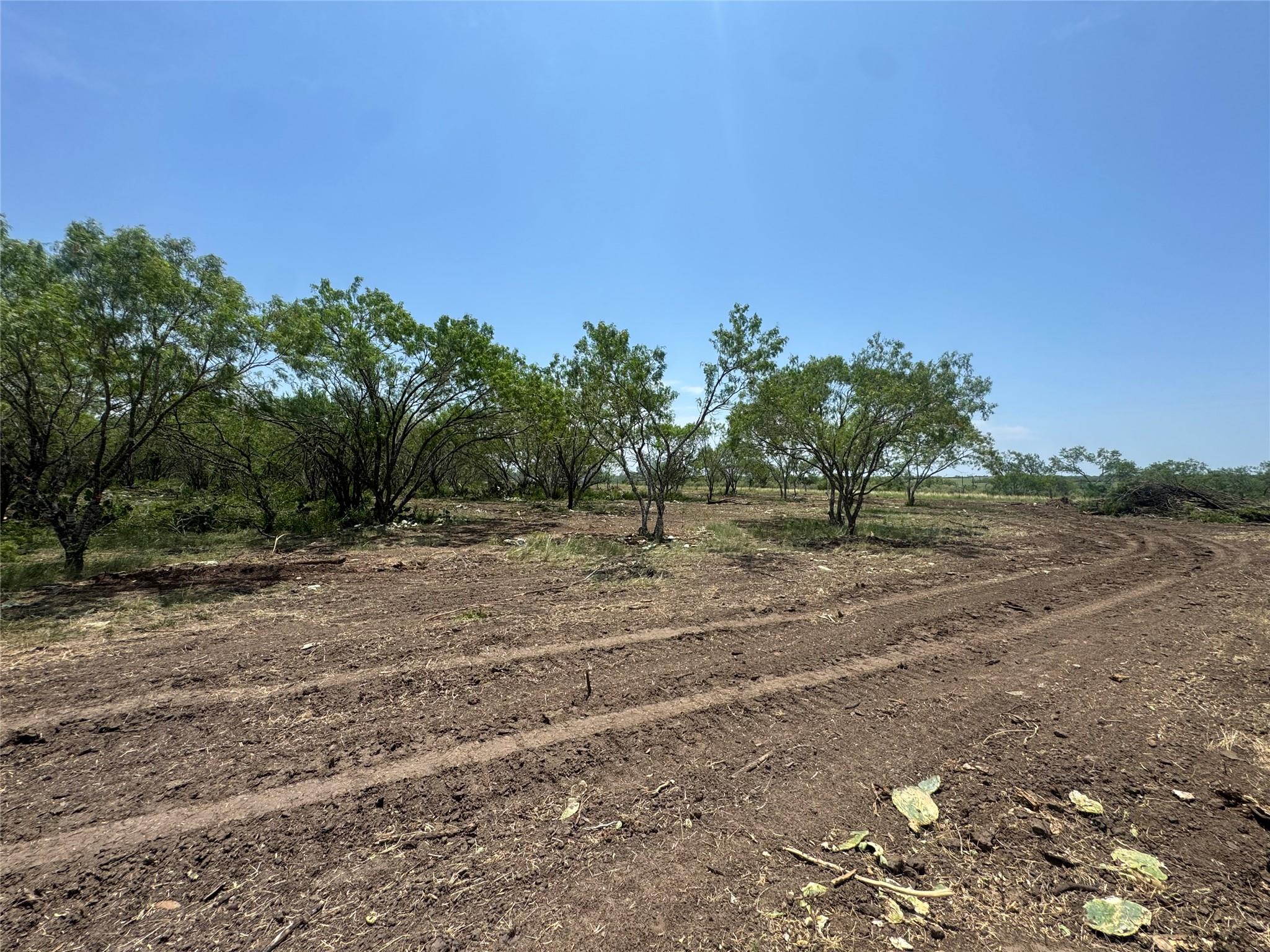 0000 CR 171, Nixon, TX 78140