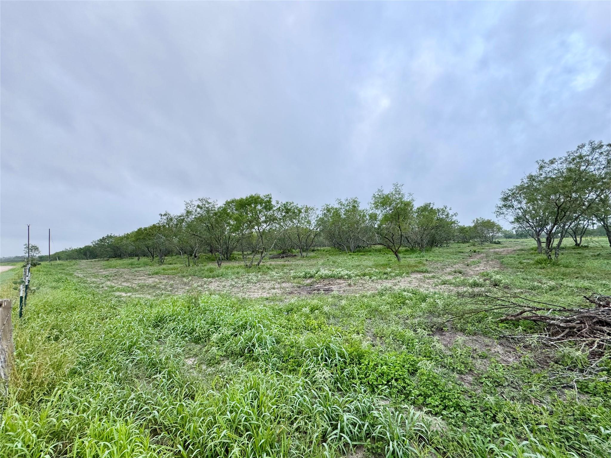 0000 CR 171, Nixon, TX 78140