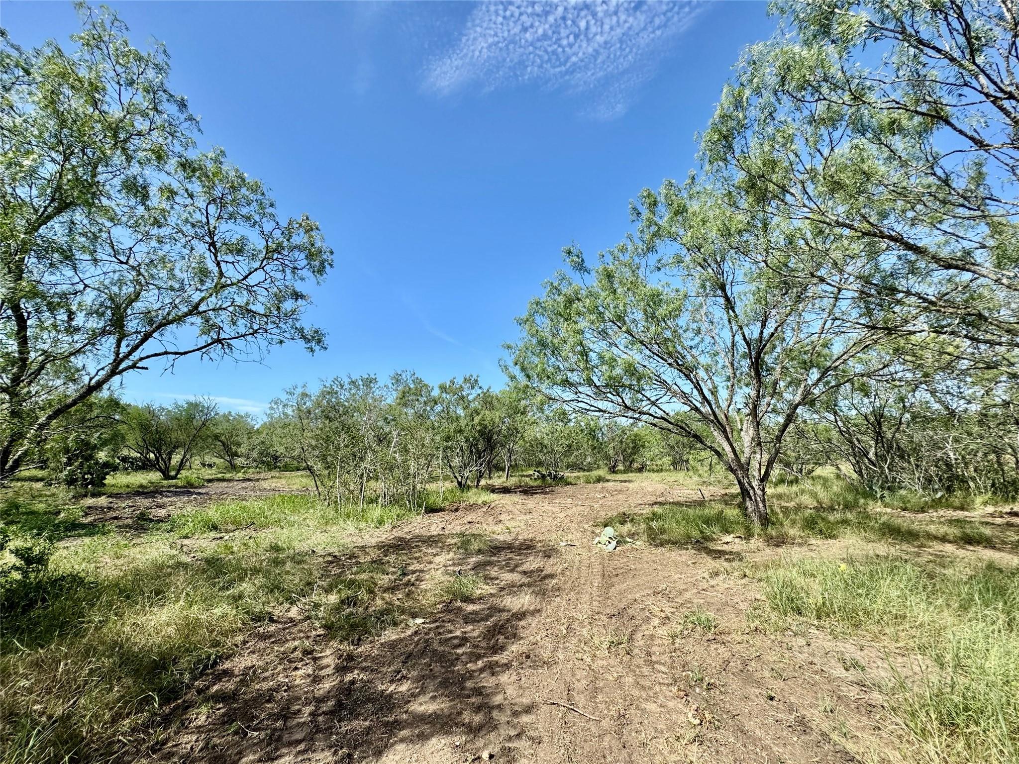 0000 CR 171, Nixon, TX 78140