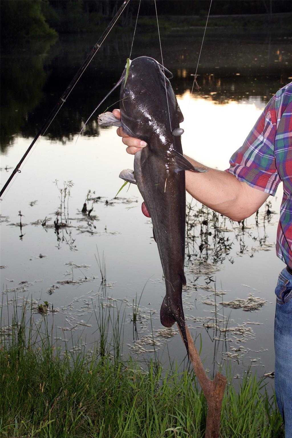 900 Old Lytton Springs Rd, Lockhart, TX 78644