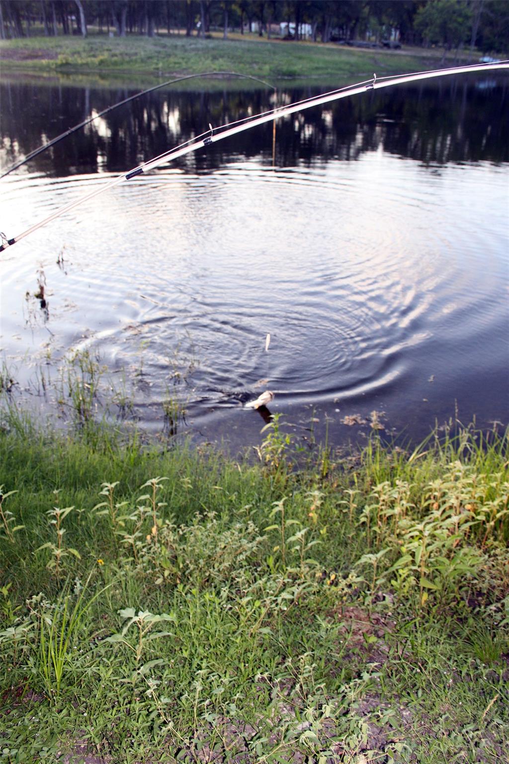 900 Old Lytton Springs Rd, Lockhart, TX 78644