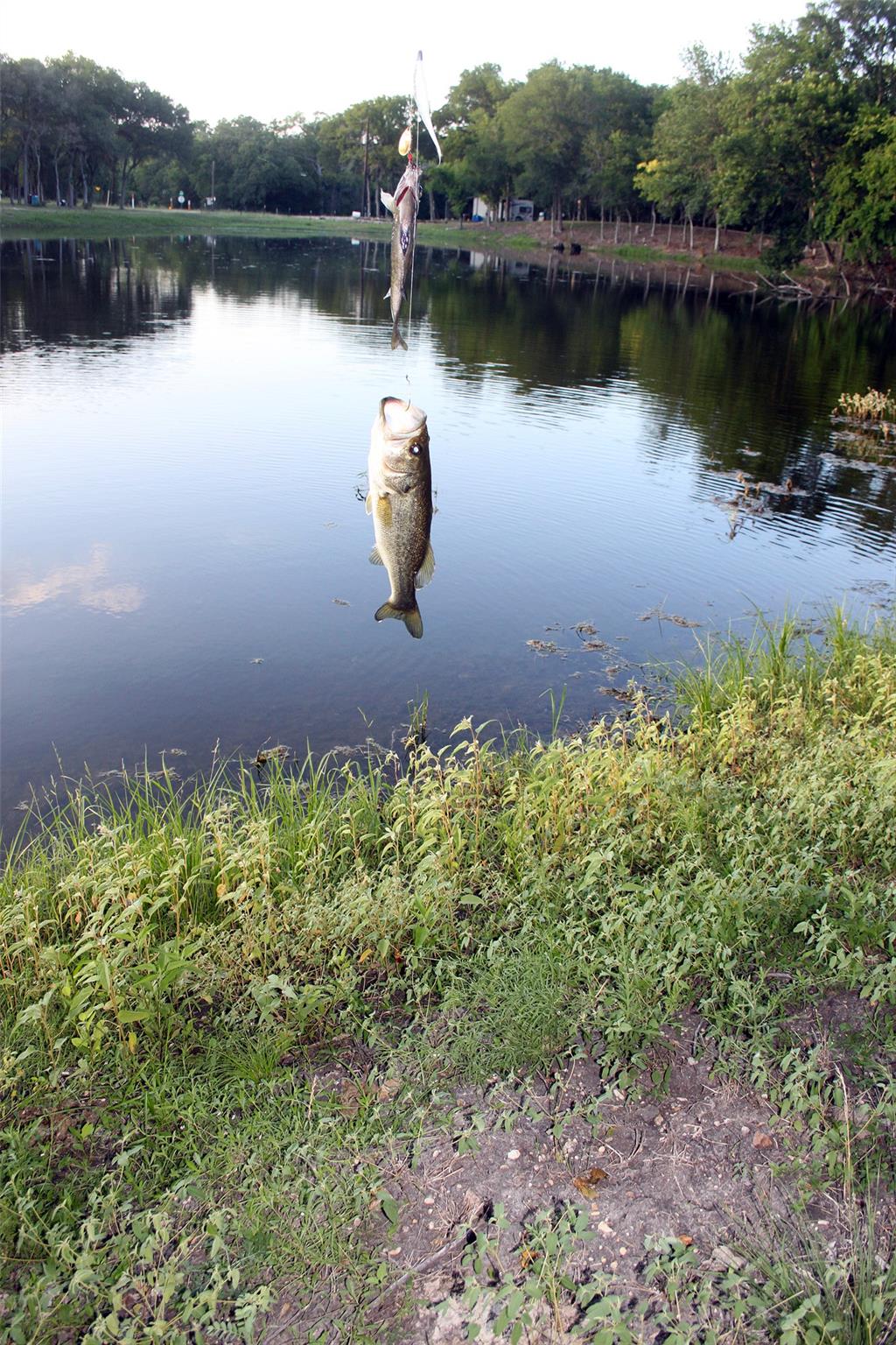 900 Old Lytton Springs Rd, Lockhart, TX 78644