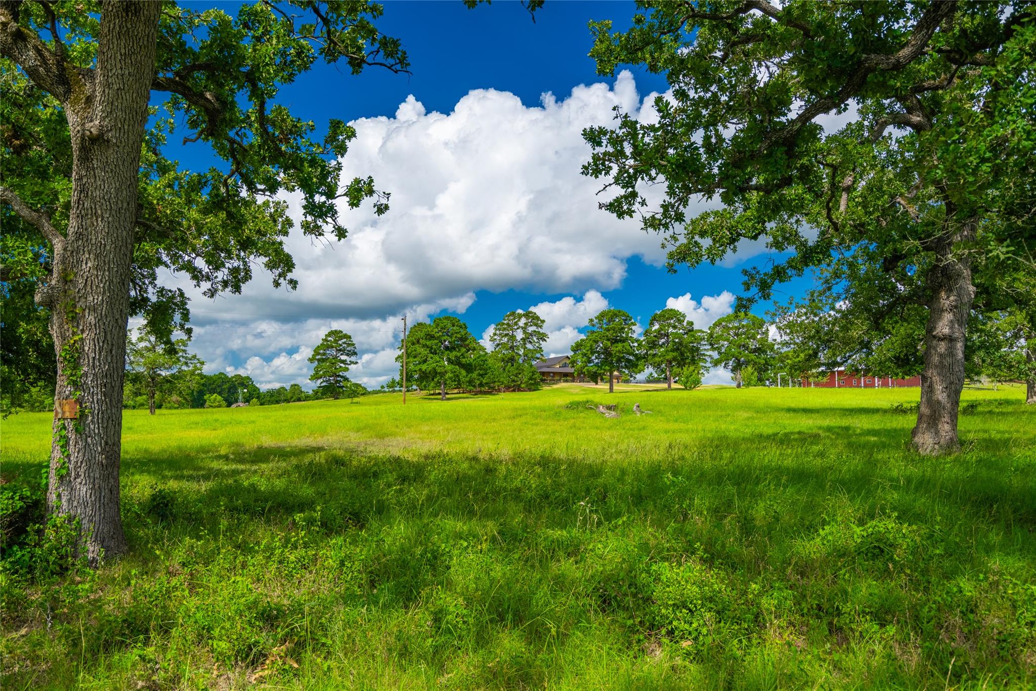 0000 Gotier Trace Rd, Smithville, TX 78957