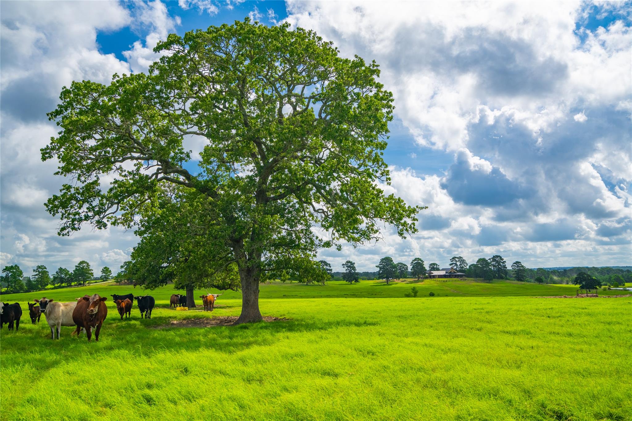 0000 Gotier Trace Rd, Smithville, TX 78957