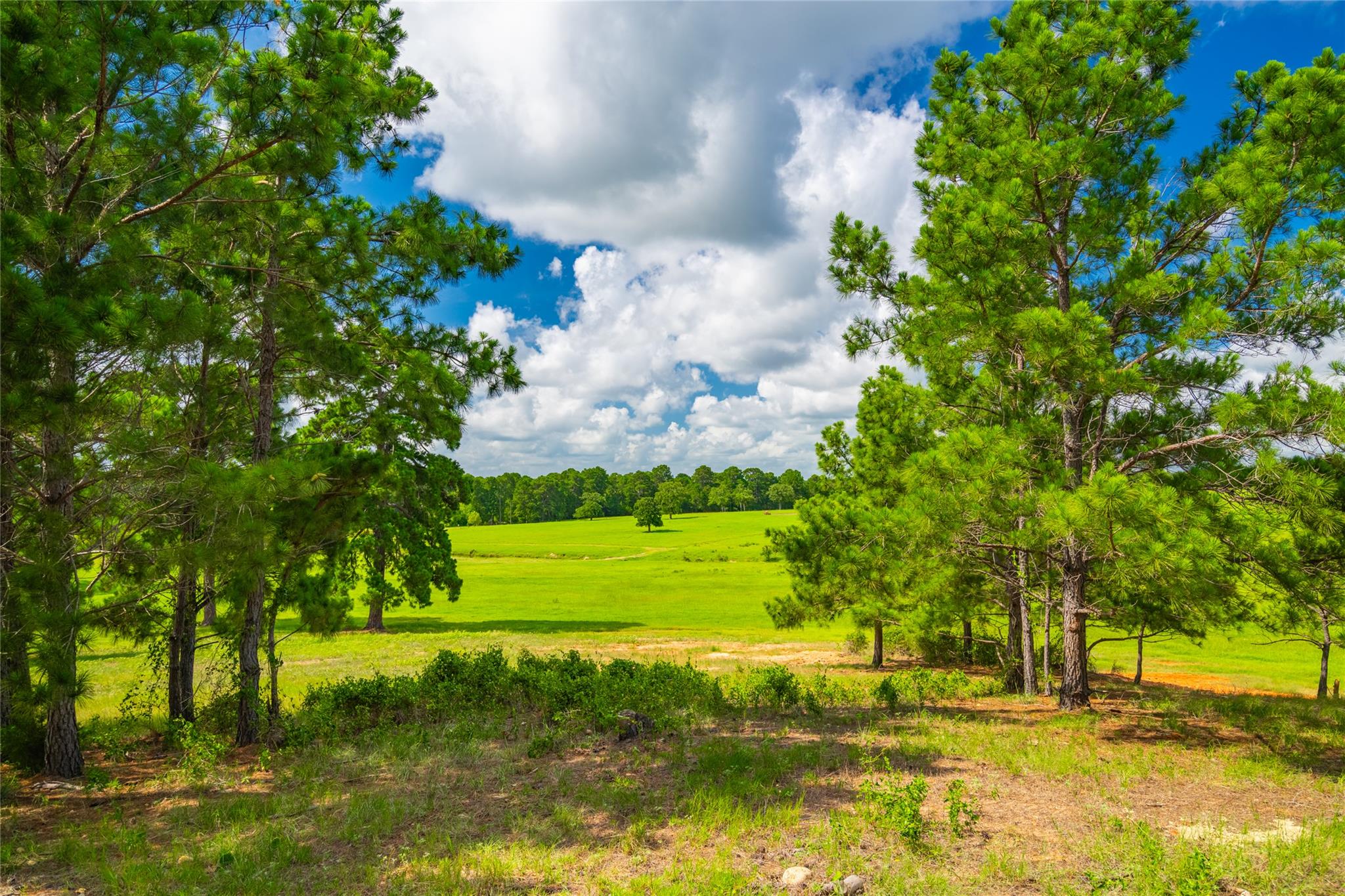 0000 Gotier Trace Rd, Smithville, TX 78957