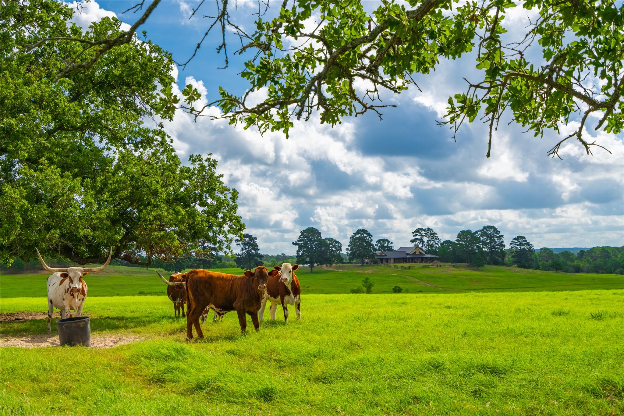 0000 Gotier Trace Rd, Smithville, TX 78957