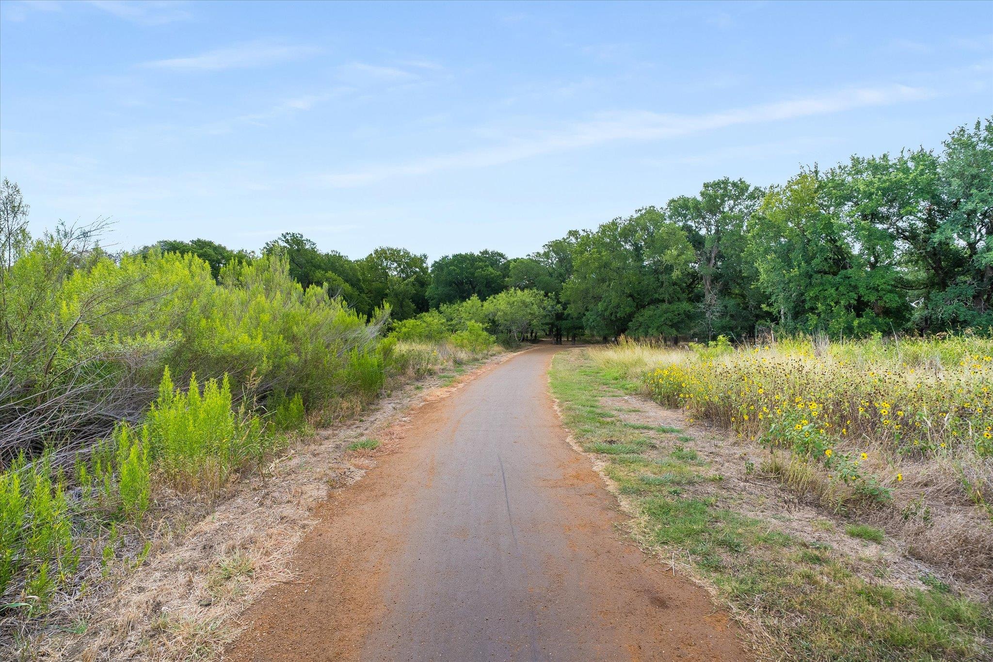 1352 Clark Brothers Dr, Buda, TX 78610