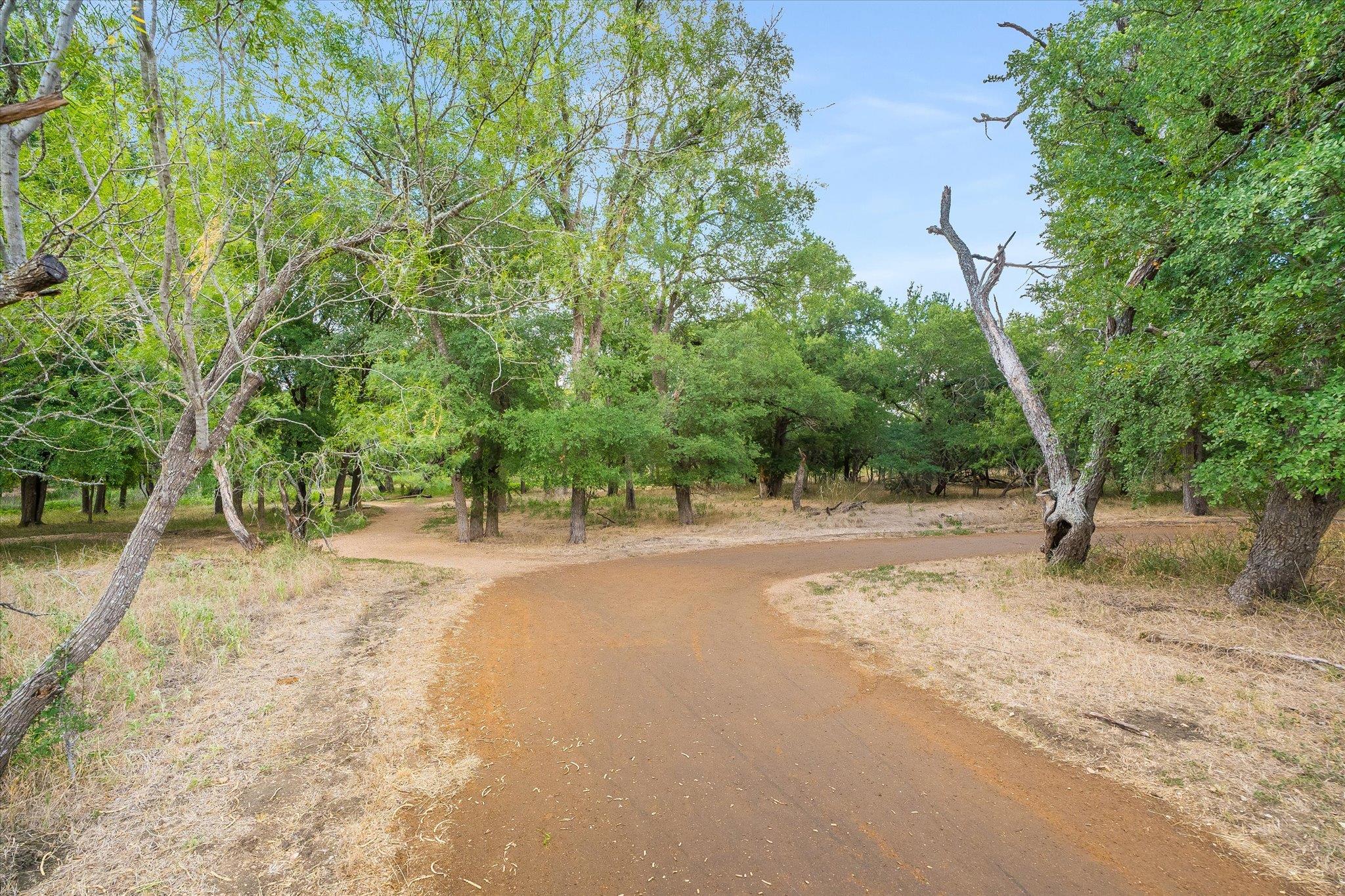1352 Clark Brothers Dr, Buda, TX 78610
