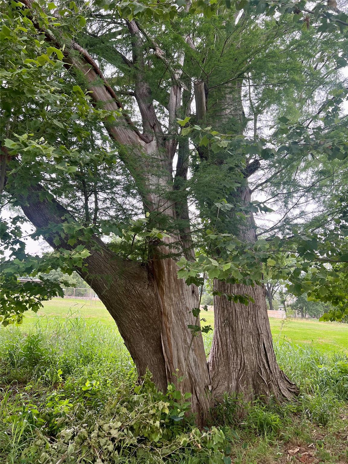 259 BLANCO Dr, Wimberley, TX 78676