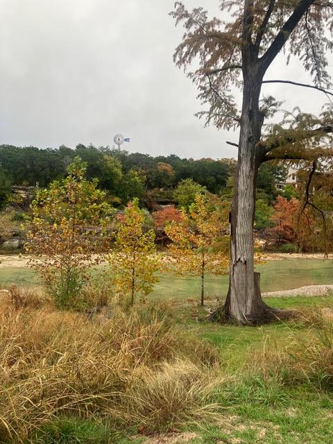 259 BLANCO Dr, Wimberley, TX 78676