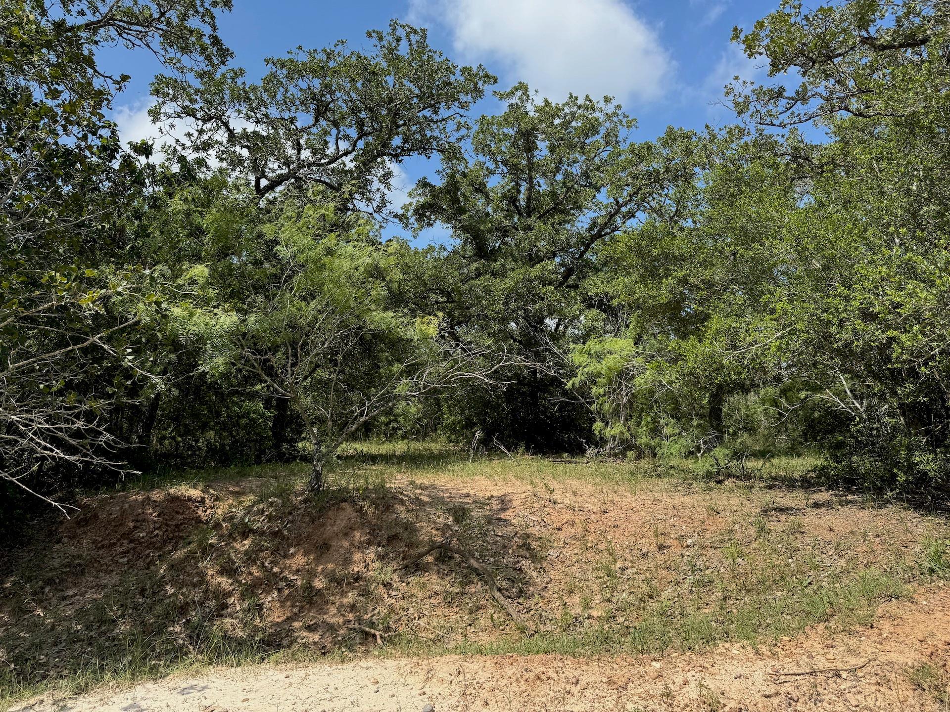 TBD County Road 482 Rd, Gonzales, TX 78629