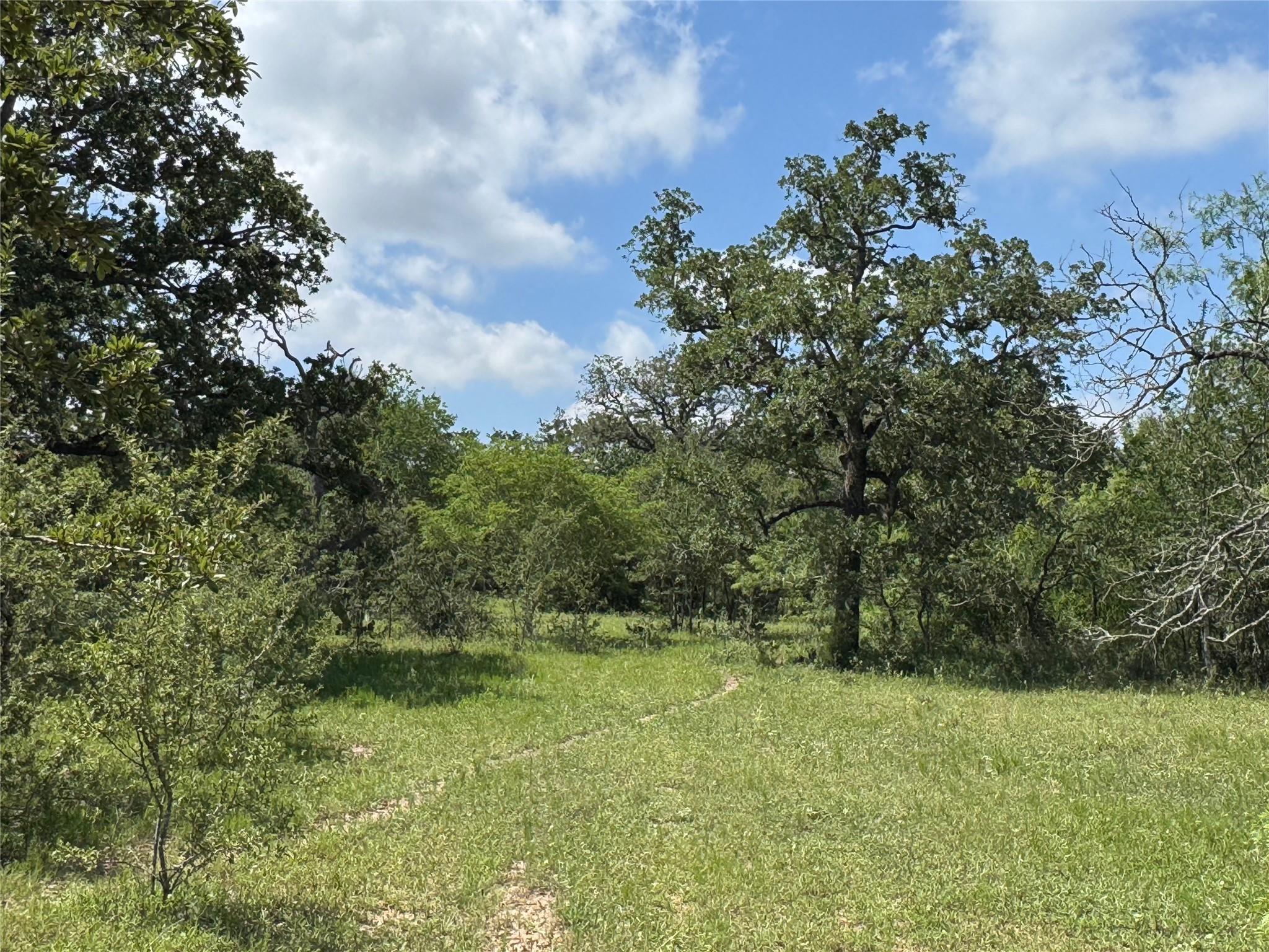 TBD County Road 482 Rd, Gonzales, TX 78629