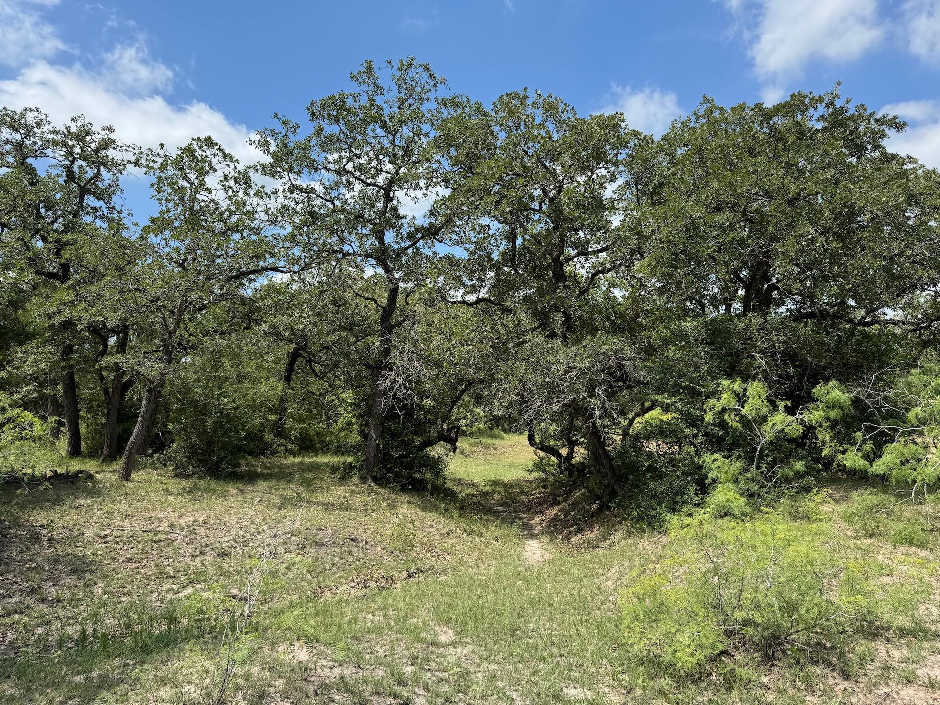 TBD County Road 482 Rd, Gonzales, TX 78629