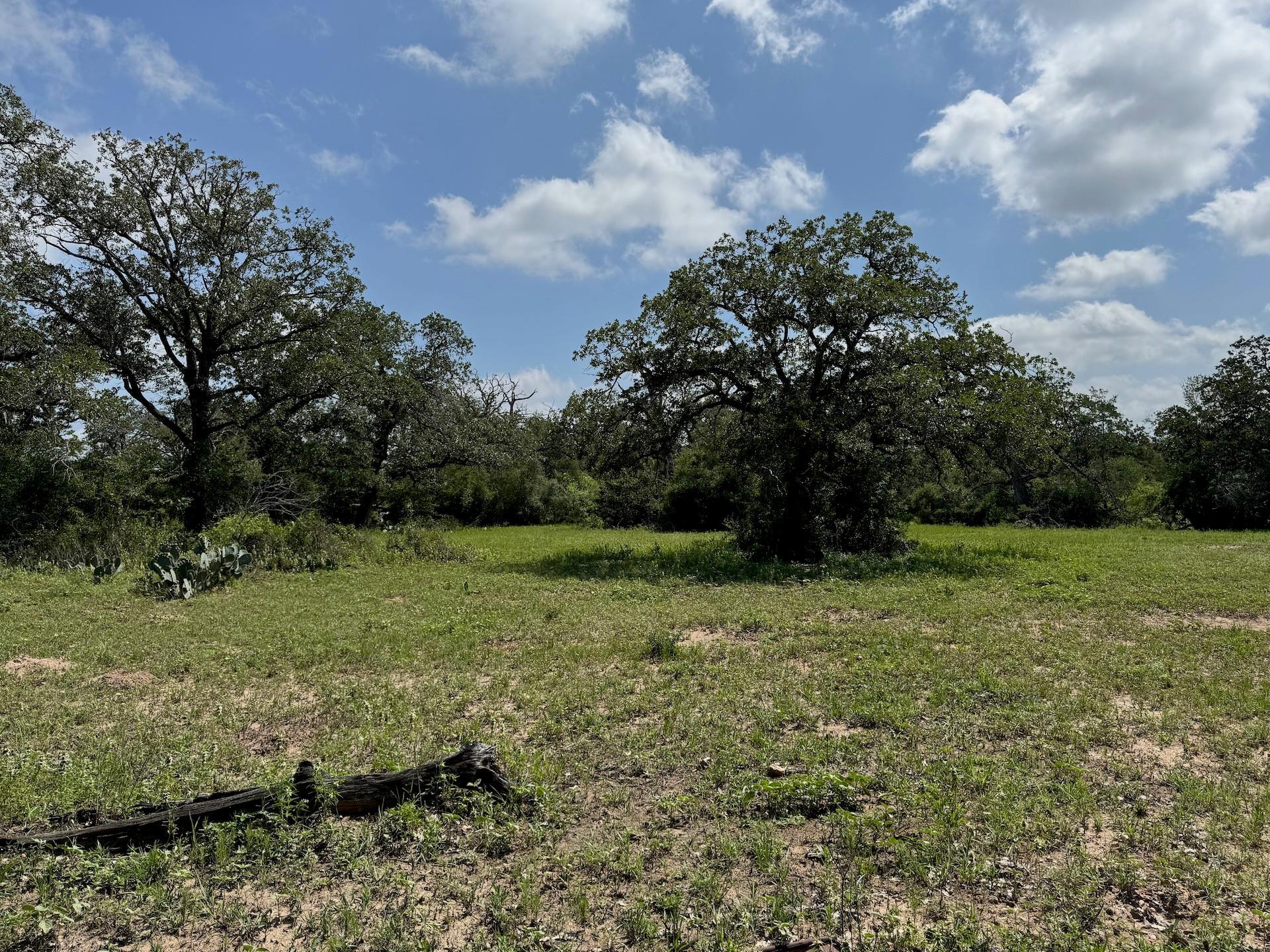 TBD County Road 482 Rd, Gonzales, TX 78629