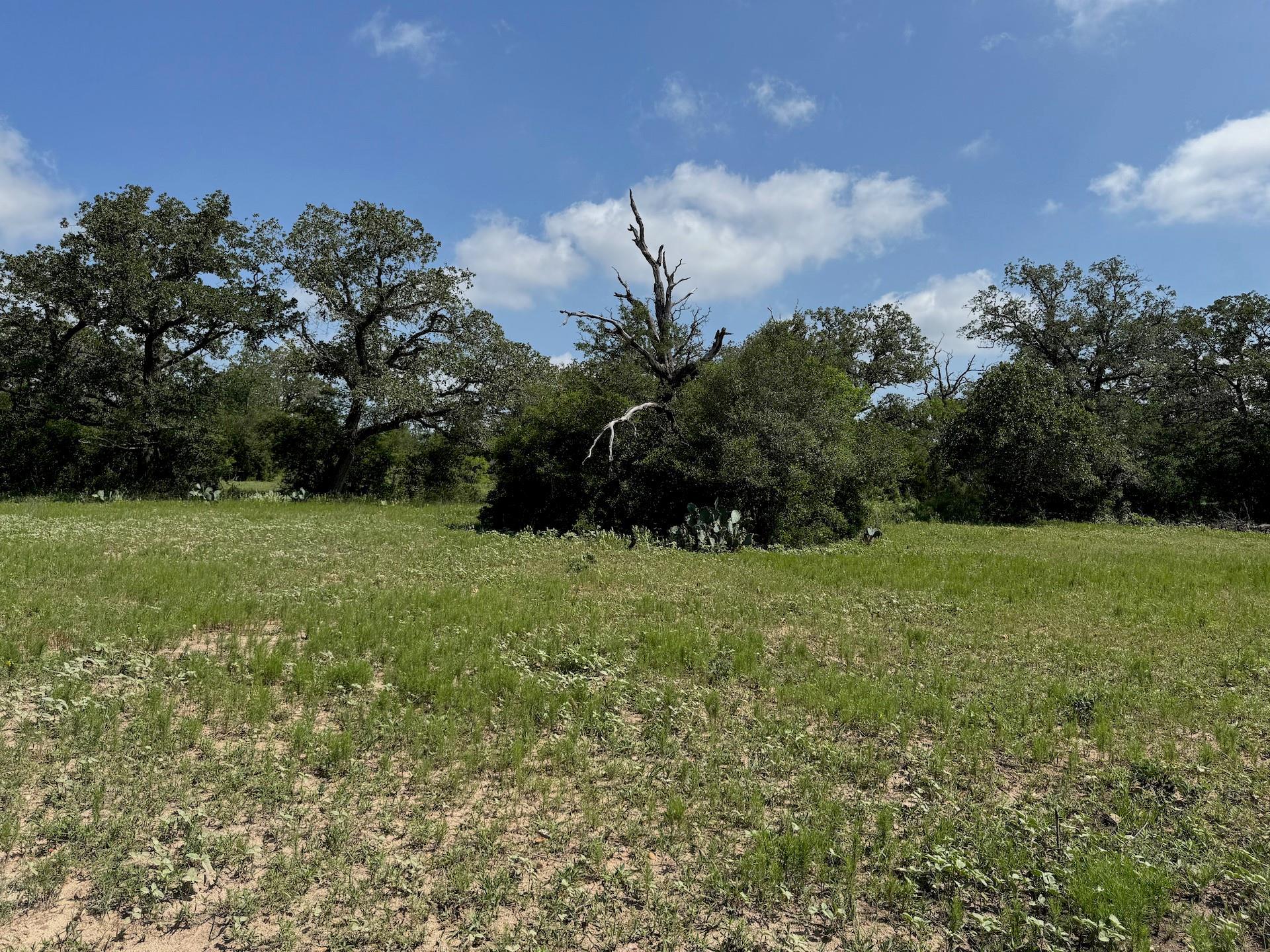 TBD County Road 482 Rd, Gonzales, TX 78629