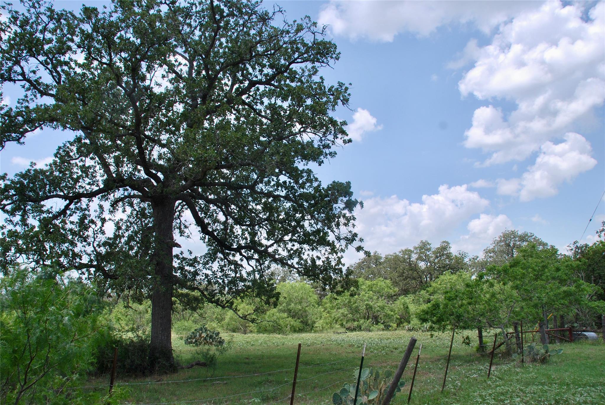 TBD County Road 482 Rd, Gonzales, TX 78629